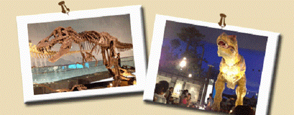 福井県立恐竜博物館 博物館 写真
