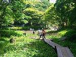 植物を楽しむ 六甲高山植物園 花見 紅葉　神戸市