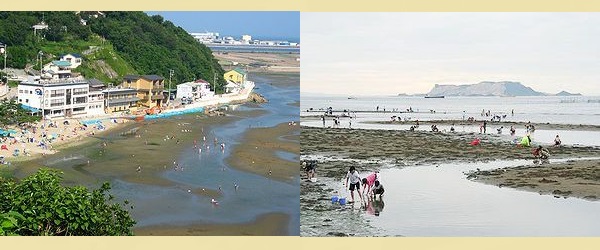 兵庫の遊び場スポット 新舞子海水浴場 夏休み海開き 海水浴場 阪神間をあそぼう