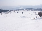 ハチ高原スキー場 スキー場 ゲレンデ ウィンタースポーツ