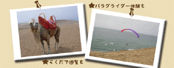鳥取砂丘 観光スポット 写真