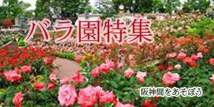 関西のバラ園 ローズガーデン バラ花見スポット 2024年