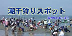 関西の潮干狩り 2024年