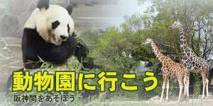 関西の動物園 ピクニック 2024年